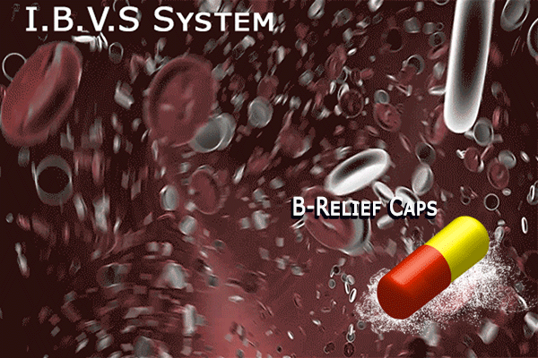 <strong>The I.B.V.S System</strong>