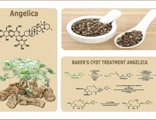 Baker’s Knee Cyst Treatment Capsules, FDA-Certified Angelica
